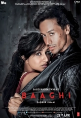 Baaghi (2016) WEB-DL 480p | 720p | 1080p