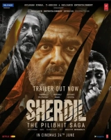 Sherdil (2022) WEBRip x264 AVC AAC 480p | 720p | 1080p
