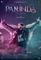 Parinda Paar Geyaa (2023) WEB-DL 480p | 720p | 1080p