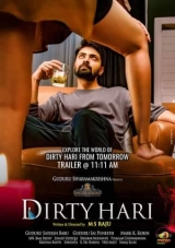 Dirty Hari (2020) WEB-DL x264 AVC DDP 720p | 1080p