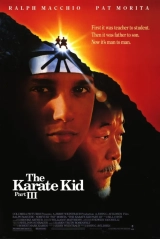 The Karate Kid Part III (1989) WEB-DL 480p | 720p | 1080p