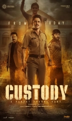 Custody (2023) WEB-DL 480p | 720p | 1080p