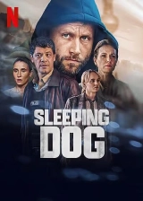 Sleeping Dog (Season 1) (2023) WEB-DL x264 1080p