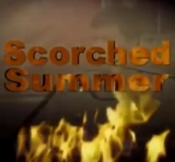 Scorched Summer: The Second Lebanon War Through Civilian Eyes (2008) BluRay 480p